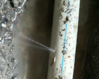 洛龙卫生间测漏水多少钱